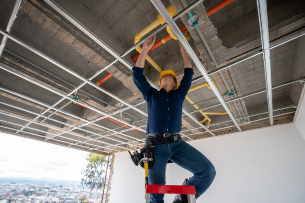 Best 24-Hour Plumber Near Me  in Schulenburg, TX